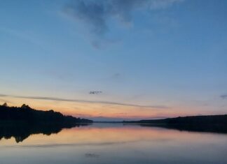 Jaka retencja wodna jest najlepsza na czas kryzysu klimatycznego?
