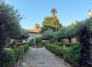 Czy powstanie Park Św. Franciszka w Poznaniu?