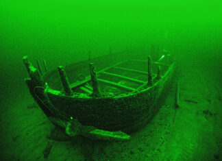 Ryby trzymają się blisko wraków i …