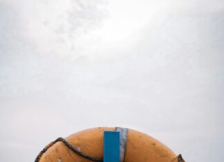 Przyszłość polskich rzek w naszych rękach – jak odwrócić proces degradacji?