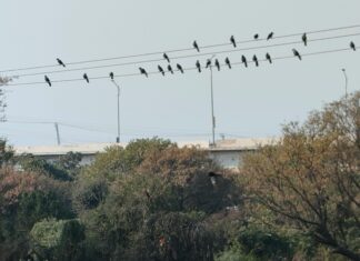 Selektywna zbiórka odpadów tekstylnych: nowe zasady – potrzebne czy fikcja?