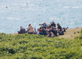 Magisterka z Produkcji Filmów Przyrodniczych