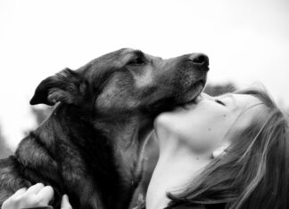 Żałoba po zwierzęciu. Dramat śmierci i nadzieja nieba