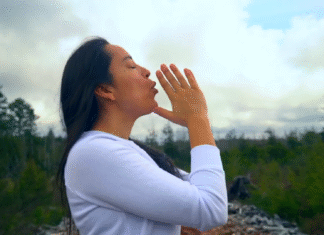 ZIELONY POKÓJ: Wspólnota poglądów