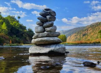 ZIELONY POKÓJ: Rzecz o szacunku