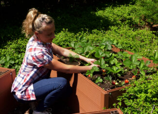 Truskawki znamy, ale …