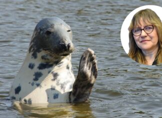 Iwona Pawliczka: Bałtyk się zmienia (za bardzo)