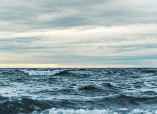 Iwona Pawliczka: Bałtyk potrzebuje adwokata