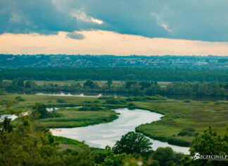 ZIELONY POKÓJ: Kochajmy parki narodowe!