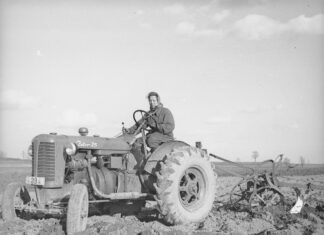 Adam Pacholak: Fotografia między dokumentem a troską o świat