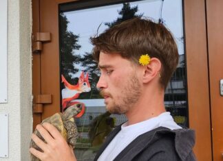 Roger Rehmus: Mieszkania w bloku są dla żółwi zabójcze