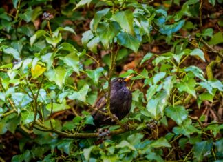 Nic w przyrodzie nie ginie, czyli rzecz o wielkiej przemianie