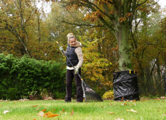 Zgrabione czy zostawione?