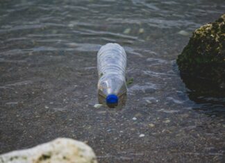 Od odpadów do cudów