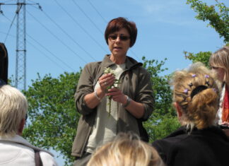 Hanna Piorska: Bornholm, europejskie laboratorium zielonej przyszłości