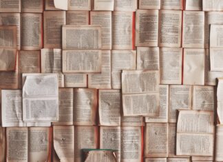 ZIELONY POKÓJ: Książka jako okno na świat