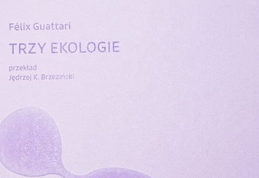 „Trzy ekologie”, czyli ścieżka we mgle