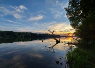 ZIELONY POKÓJ: Pokoju i spokoju