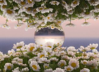 ZIELONY POKÓJ: Nie zamykajmy się na rozmowę!