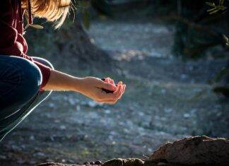 Bratek Robotycki: Dobro jest zielone, uporządkowane, zadbane i beztroskie…