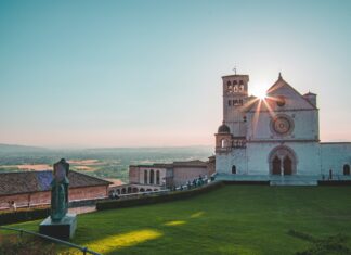 Ekologia z duszą, czyli dlaczego św. Franciszek byłby dziś najpopularniejszym influencerem?