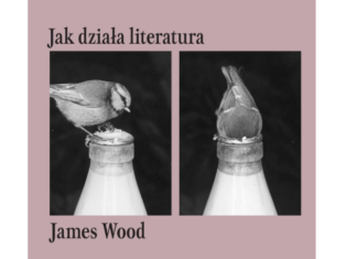 O sikorach, tłumaczeniach i literaturze, czyli „Jak działa literatura” Jamesa Wooda