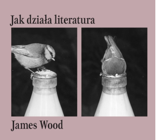 O sikorach, tłumaczeniach i literaturze, czyli „Jak działa literatura” Jamesa Wooda
